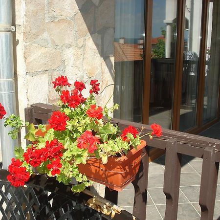 Tsb Sun Coast Apartments Sveti Vlas Bagian luar foto